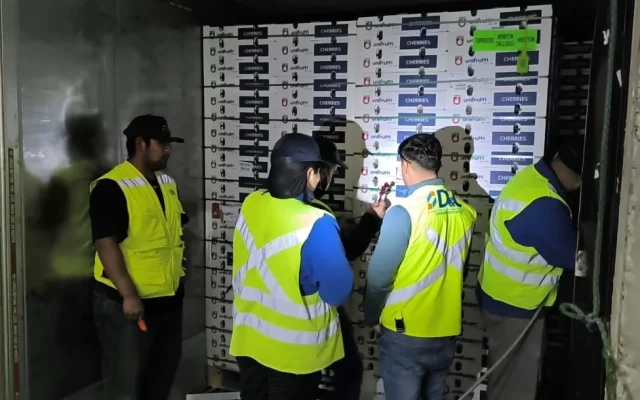 D&C División Depósitos culmina exitosamente servicios prestados durante ciclo de exportación de cerezas